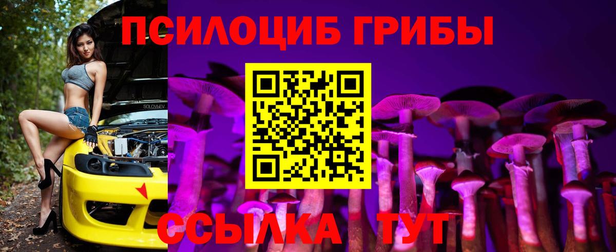 Псилоцибиновые грибы Psilocybine cubensis  Псилоцибиновые грибы GOLDEN TEACHER  Вход с VPN  даркнет сайт  Острогожск 